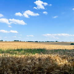 24-06-26 16-35-38 9941